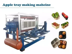Apple tray making machine
