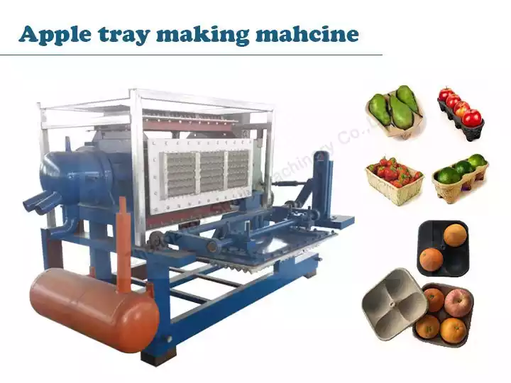 Apple tray making machine | paper fruit tray machine 