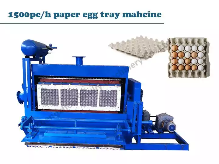 1500pc/h egg tray forming machine | egg tray molding machine