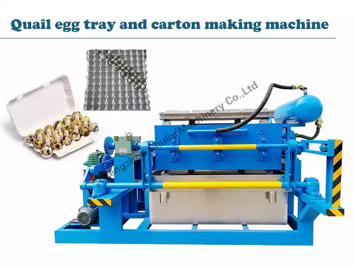 Machine à plateau d'oeufs de caille