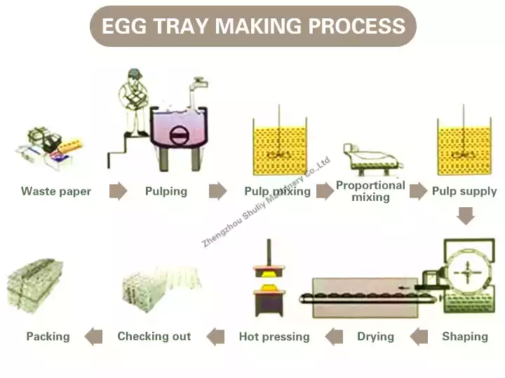 proceso de producción de bandejas de huevos