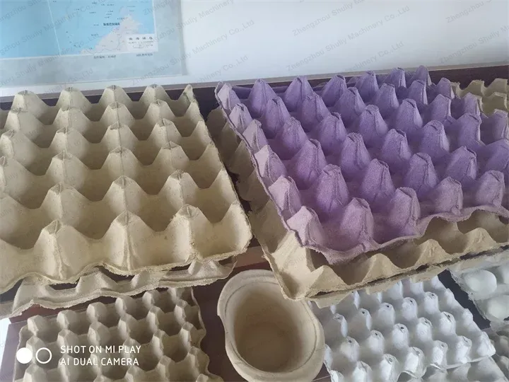 Egg Tray Production Line Successfully Delivered In Costa Rica 2 صواني البيض