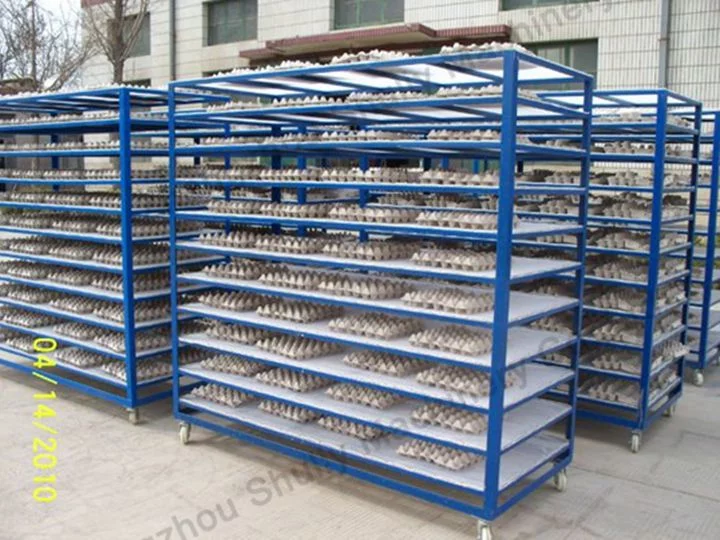 Egg Tray Drying Box 5 Customised egg tray trolley