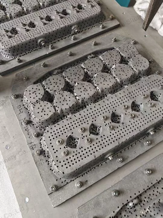Zambia Customer Successfully Introduced Egg Tray Machine 3 Egg tray machine mould details