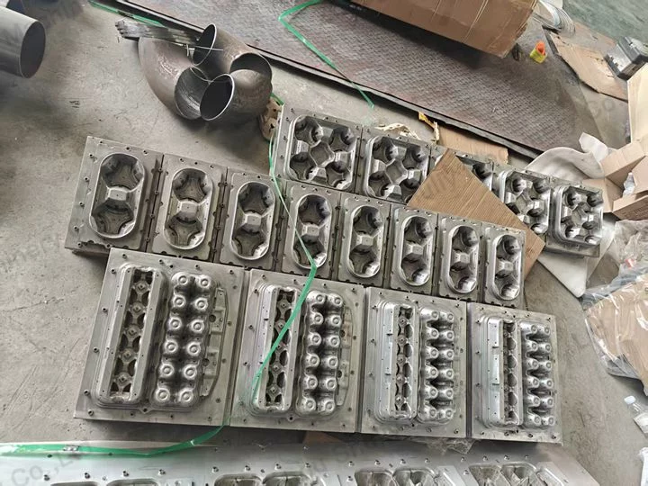 Zambia Customer Successfully Introduced Egg Tray Machine 2 Egg tray machine mould