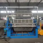 Machine de formage de barquettes à œufs 5x12