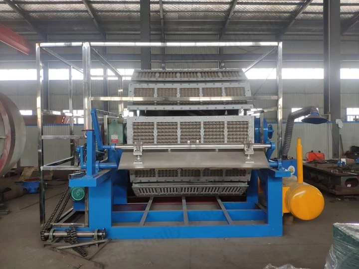 Egg Tray Molding Machine Working Principle And Common Troubleshooting Guide 4 5x12 egg tray forming machine