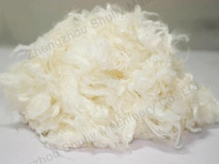 The Birth Of The Egg Tray: The Raw Material Behind Pulp Moulding 10 Bamboo pulp fibre