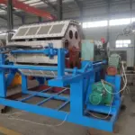máquina automática de bandejas de huevos