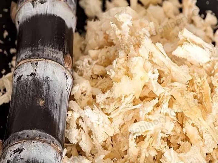 The Birth Of The Egg Tray: The Raw Material Behind Pulp Moulding 7 Bagasse