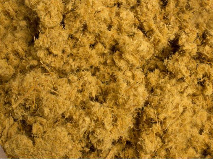 The Birth Of The Egg Tray: The Raw Material Behind Pulp Moulding 11 Bamboo pulp