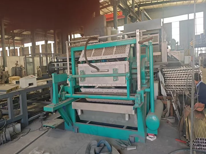 Le client de Chypre investit dans une machine de formation de plateaux à œufs 4*8 pour développer son activité d'emballage d'œufs 1. Machine de formage de plateaux à œufs