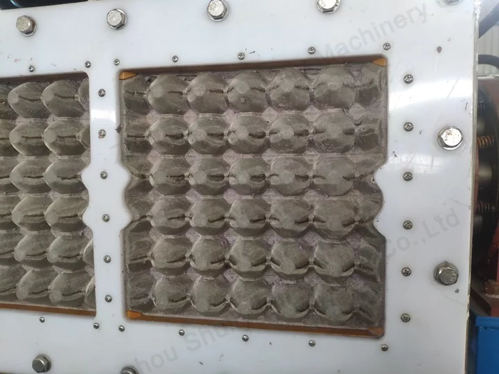 Le client de Chypre investit dans une machine de formation de plateaux à œufs 4*8 pour développer son activité d'emballage d'œufs 5. Moulage
