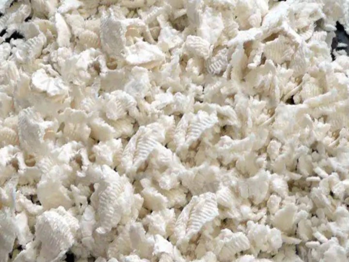 The Birth Of The Egg Tray: The Raw Material Behind Pulp Moulding 12 Wood pulp