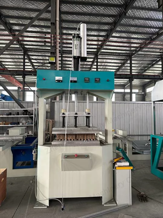 How Can Waste Paper Be Turned Into High-Value Egg Trays? 14 Egg tray hot press