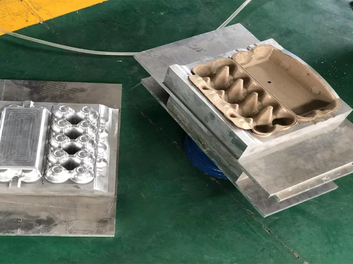 The mold