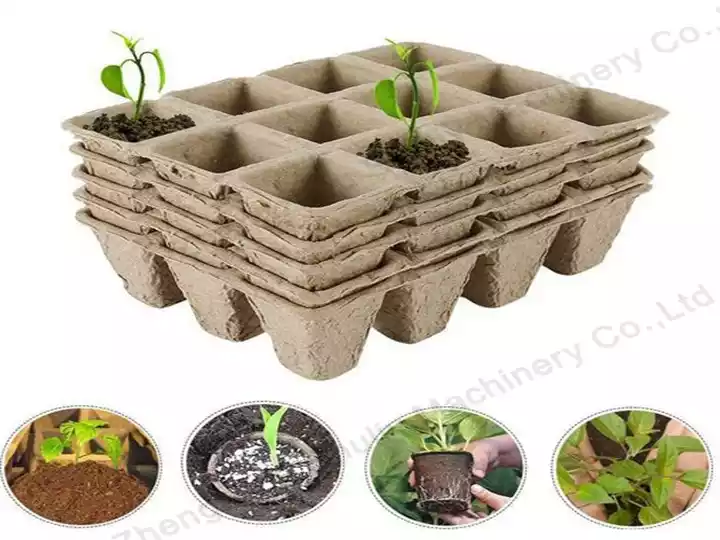 Agriculture plant seedling tray