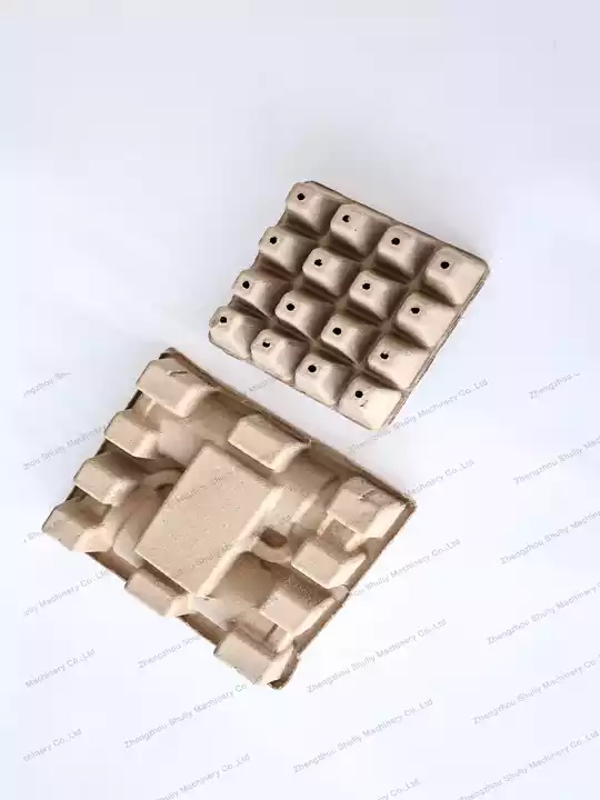 Multi-hole seed germination tray
