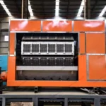 orange citrus fruit tray making line