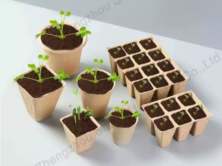 Vegetable flower seedling growing tray