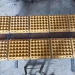 ABS plastic pulp egg tray mold