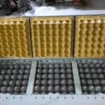 Plastic egg tray mould