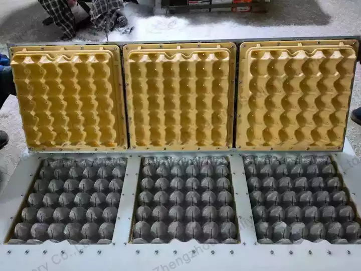 Plastic egg tray mould