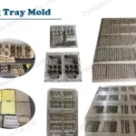 egg tray mold